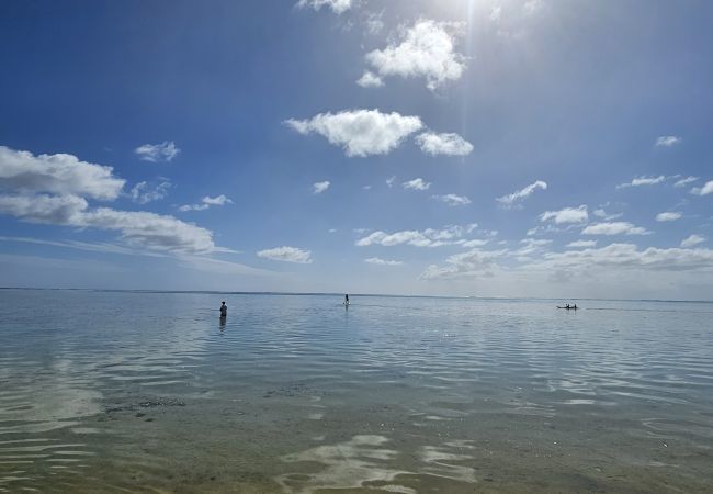 Studio in Hauru - MOOREA - Tropical Nest