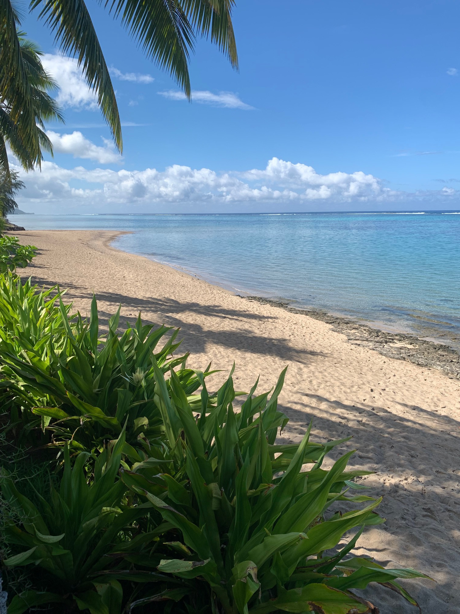  in Punaauia - TAHITI - VAIAVA Beach Cottage