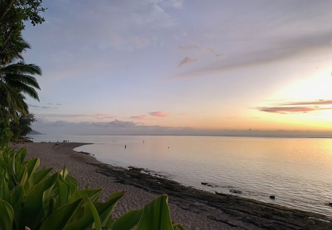 House in Punaauia - TAHITI - VAIAVA Beach Cottage House in Punaauia - TAHITI - VAIAVA Beach Cottage
