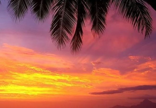 House in Punaauia - TAHITI - Fare Vainato Beach House in Punaauia - TAHITI - Fare Vainato Beach
