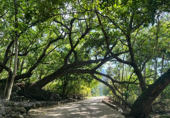 Rent by room in Taiohae - NUKU HIVA - Taio Bay triple Room 6 Rent by room in Taiohae - NUKU HIVA - Taio Bay triple Room 6