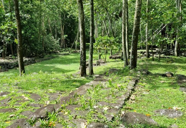 Rent by room in Taiohae - NUKU HIVA - Taio Bay triple Room 6 Rent by room in Taiohae - NUKU HIVA - Taio Bay triple Room 6