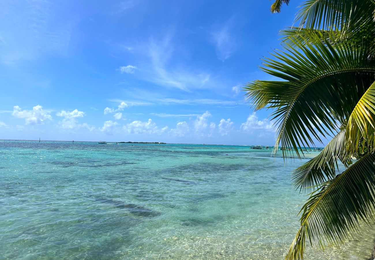 Villa in Tiahura - MOOREA - Sundara Soul Villa