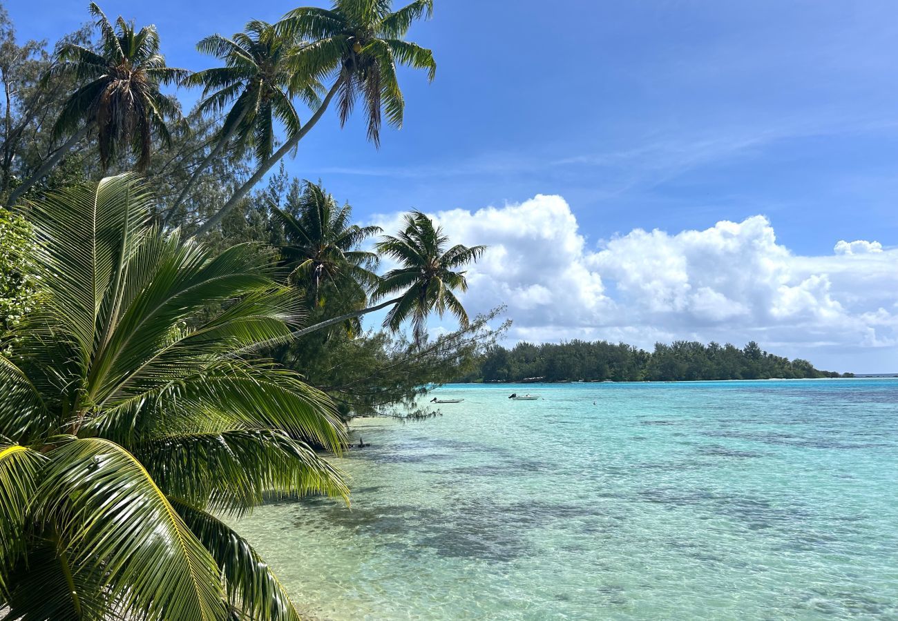 Villa in Tiahura - MOOREA - Sundara Soul Villa