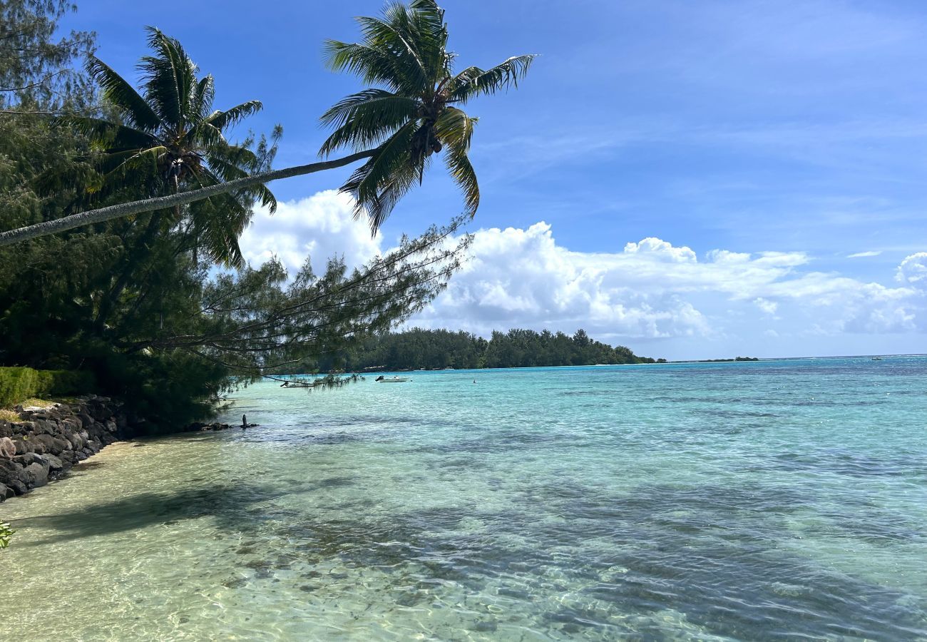 Villa in Tiahura - MOOREA - Sundara Soul Villa