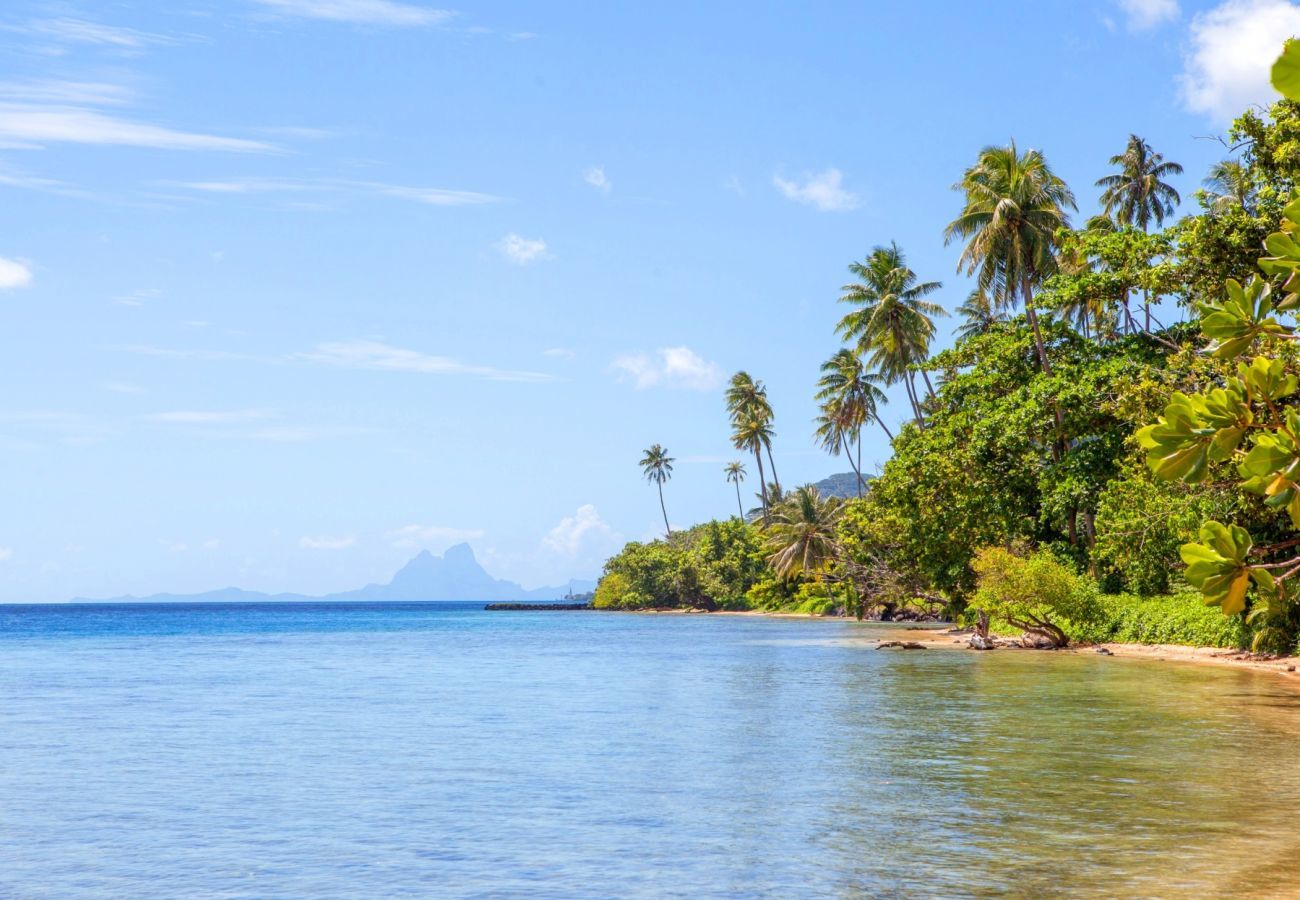 Lagoon, beach, tropical rainforest and coconut trees at Villa Tehere Dream, dream holiday on Tahaa island
