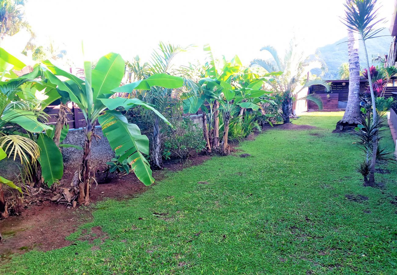 View of the garden 