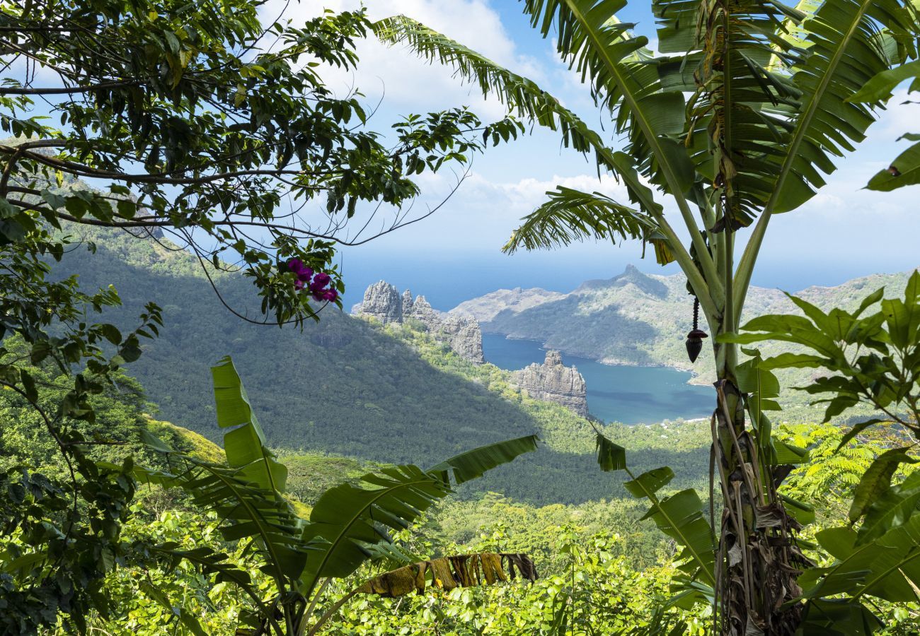 Rent by room in Taiohae - NUKU HIVA - Te Reo Nuku Hoe