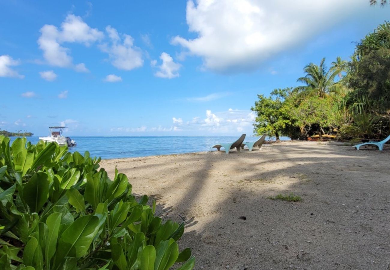 Bungalow in Opoa - RAIATEA - Hotopuu Taina Room