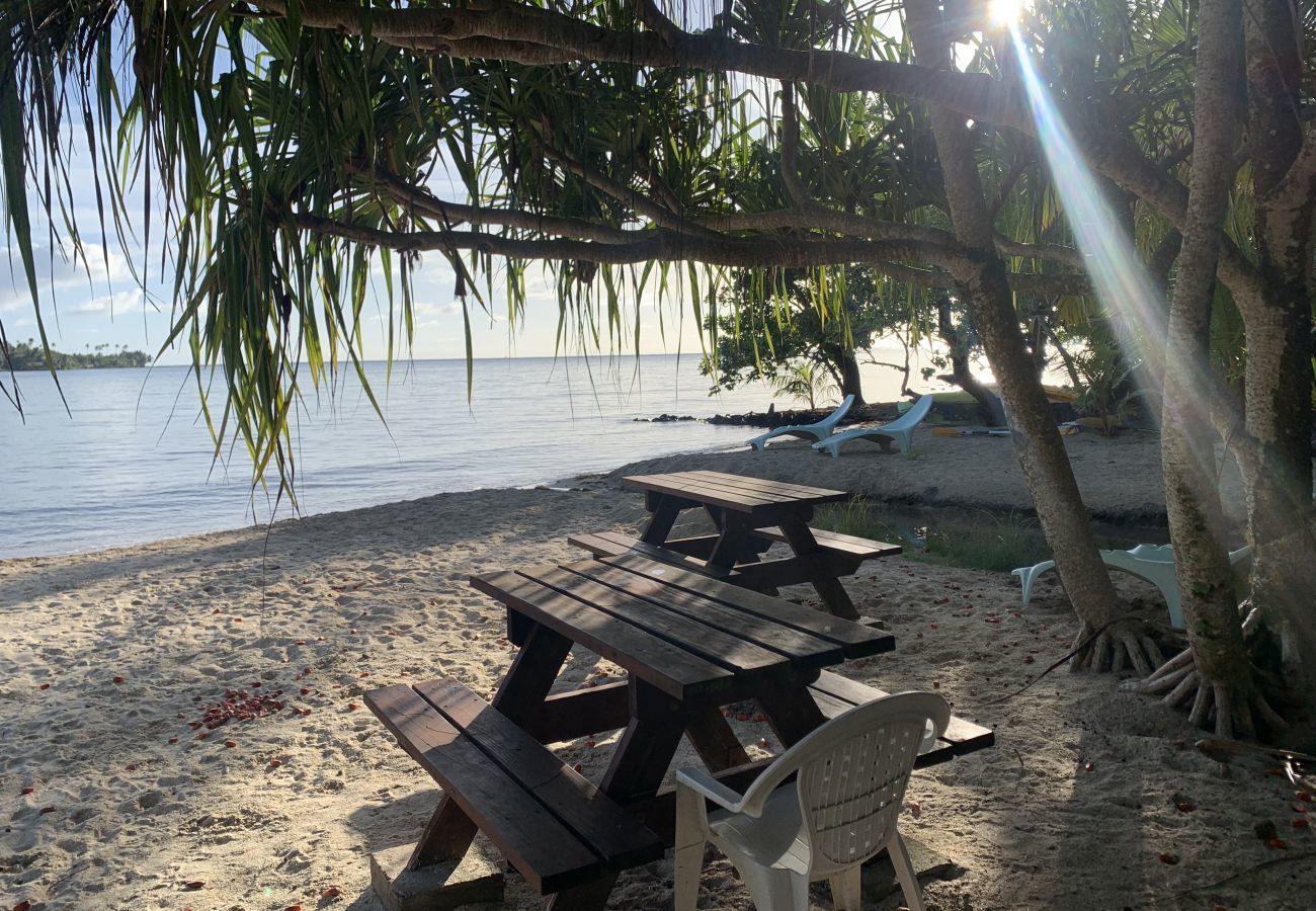 Bungalow in Opoa - RAIATEA - Hotopuu Taina Room