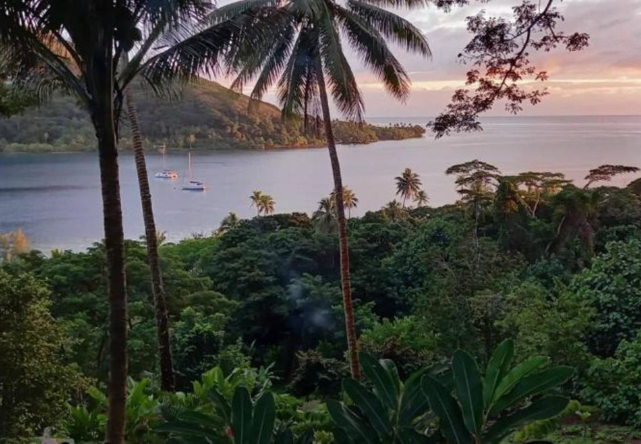 Bungalow in Opoa - RAIATEA - Hotopuu Taina Room