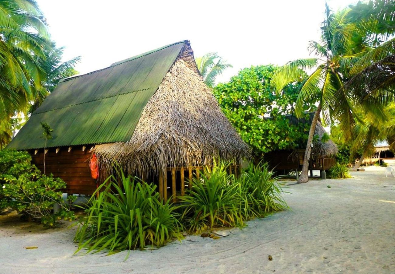 Rent by room in Tuherahera - TIKEHAU - Kaha Beach Family