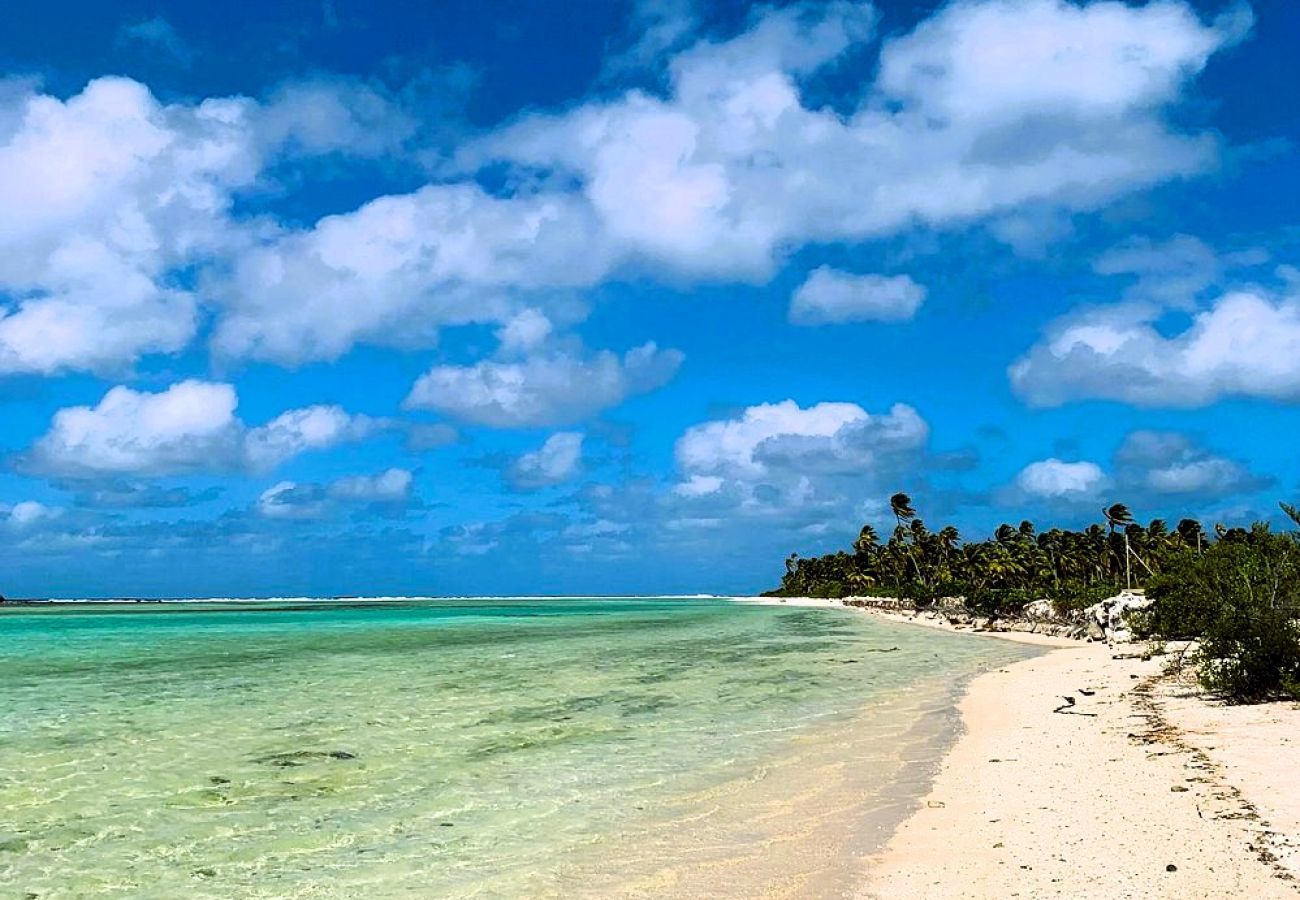 Rent by room in Tuherahera - TIKEHAU - Kaha Beach Family