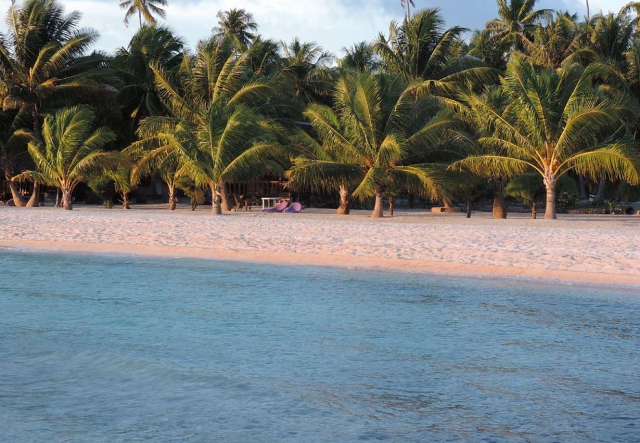 Rent by room in Tuherahera - TIKEHAU - Kaha Beach Family
