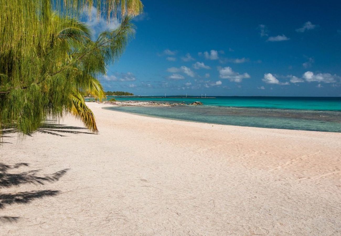 Rent by room in Tuherahera - TIKEHAU - Kaha Beach Hoe