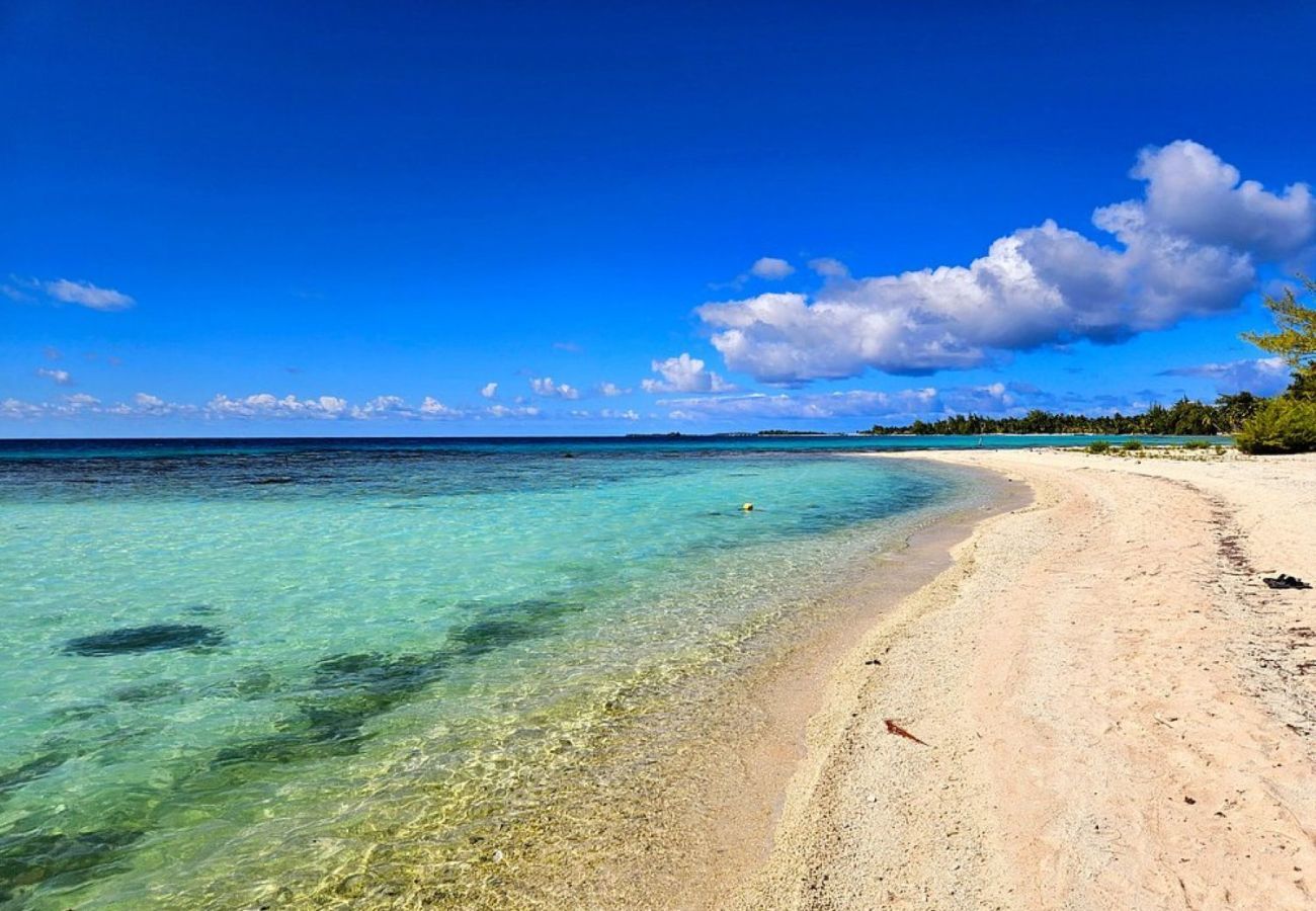 Rent by room in Tuherahera - TIKEHAU - Kaha Beach Hoe