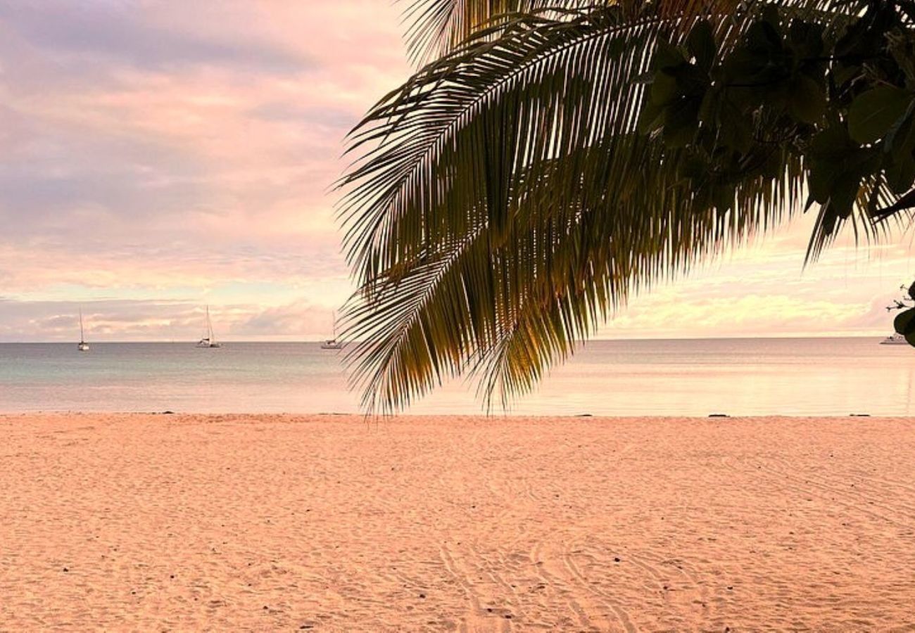 Rent by room in Tuherahera - TIKEHAU - Kaha Beach Hoe