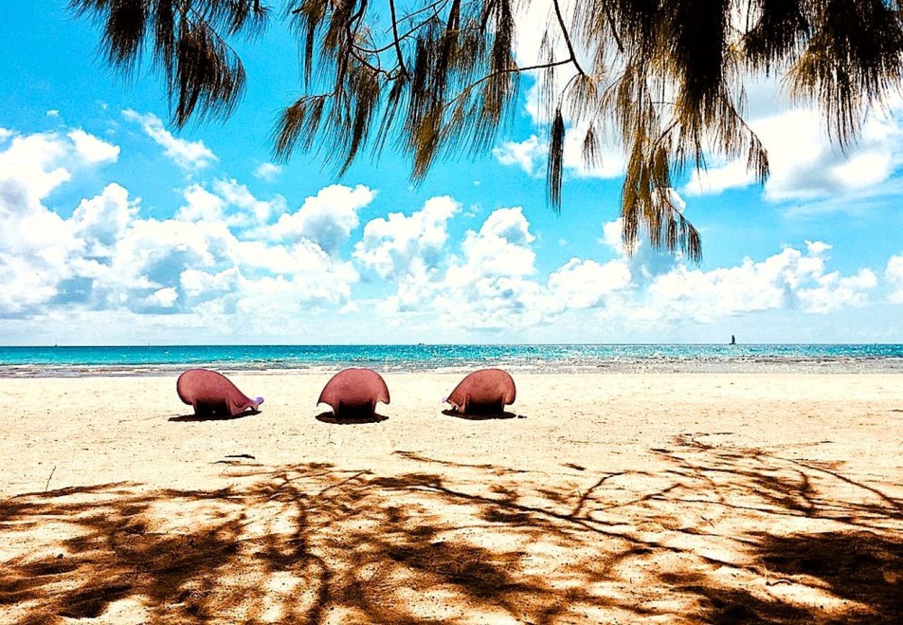 Rent by room in Tuherahera - TIKEHAU - Kaha Beach Hoe