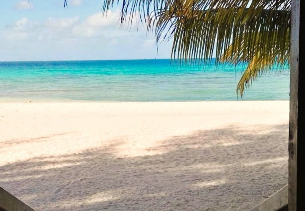 Rent by room in Tuherahera - TIKEHAU - Kaha Beach Piti
