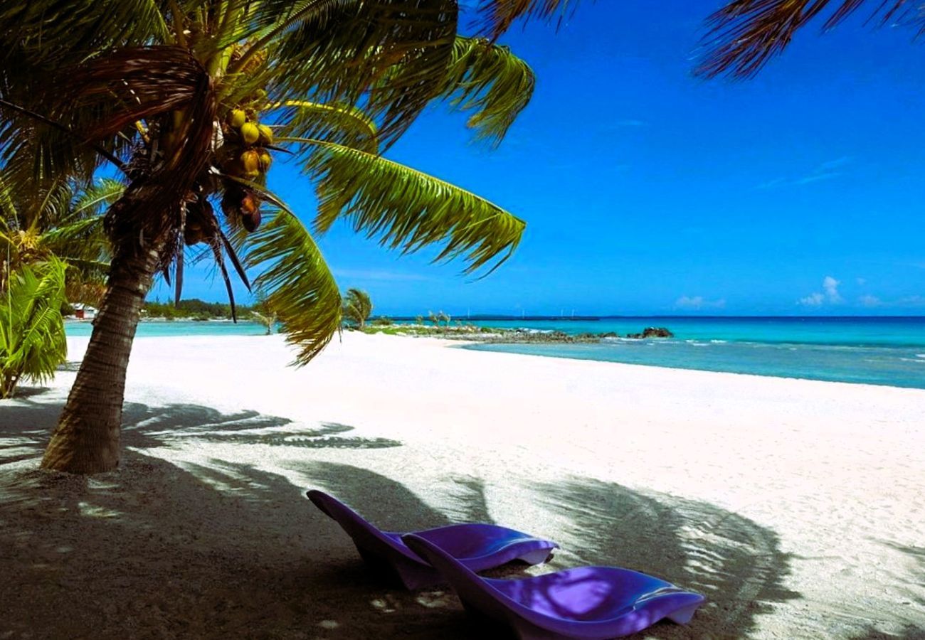 Rent by room in Tuherahera - TIKEHAU - Kaha Beach Piti