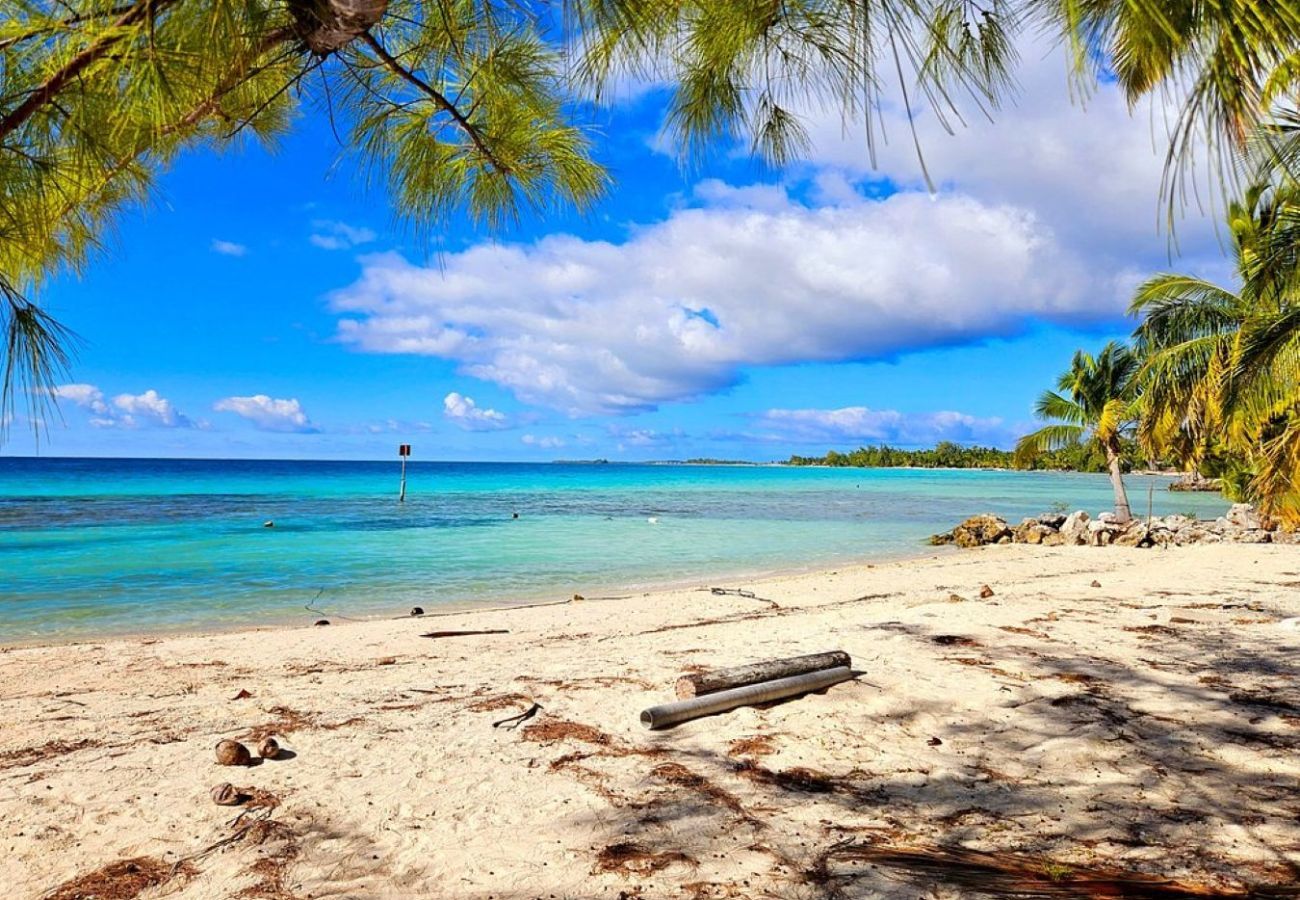 Rent by room in Tuherahera - TIKEHAU - Kaha Beach Piti
