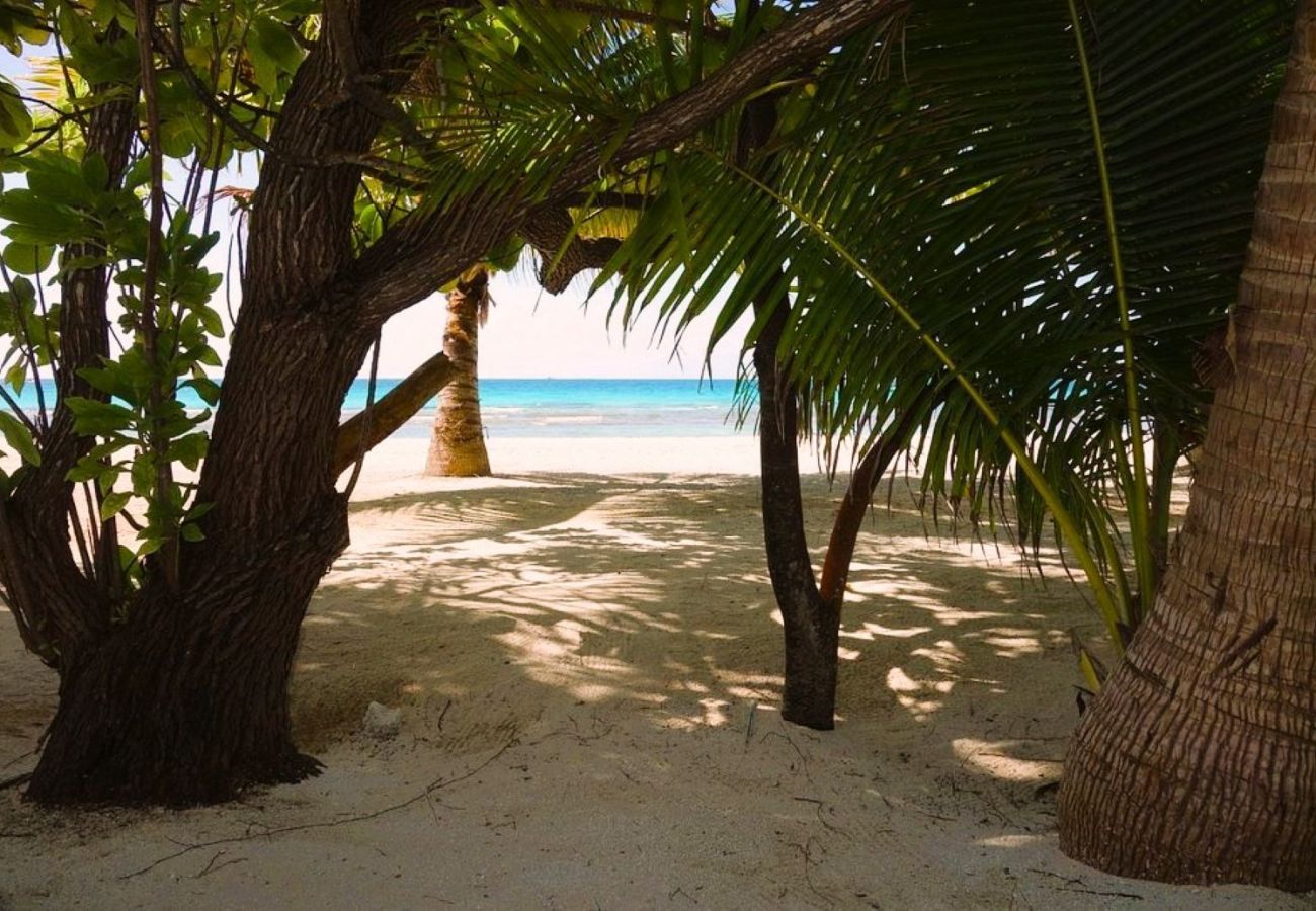 Rent by room in Tuherahera - TIKEHAU - Kaha Beach Piti