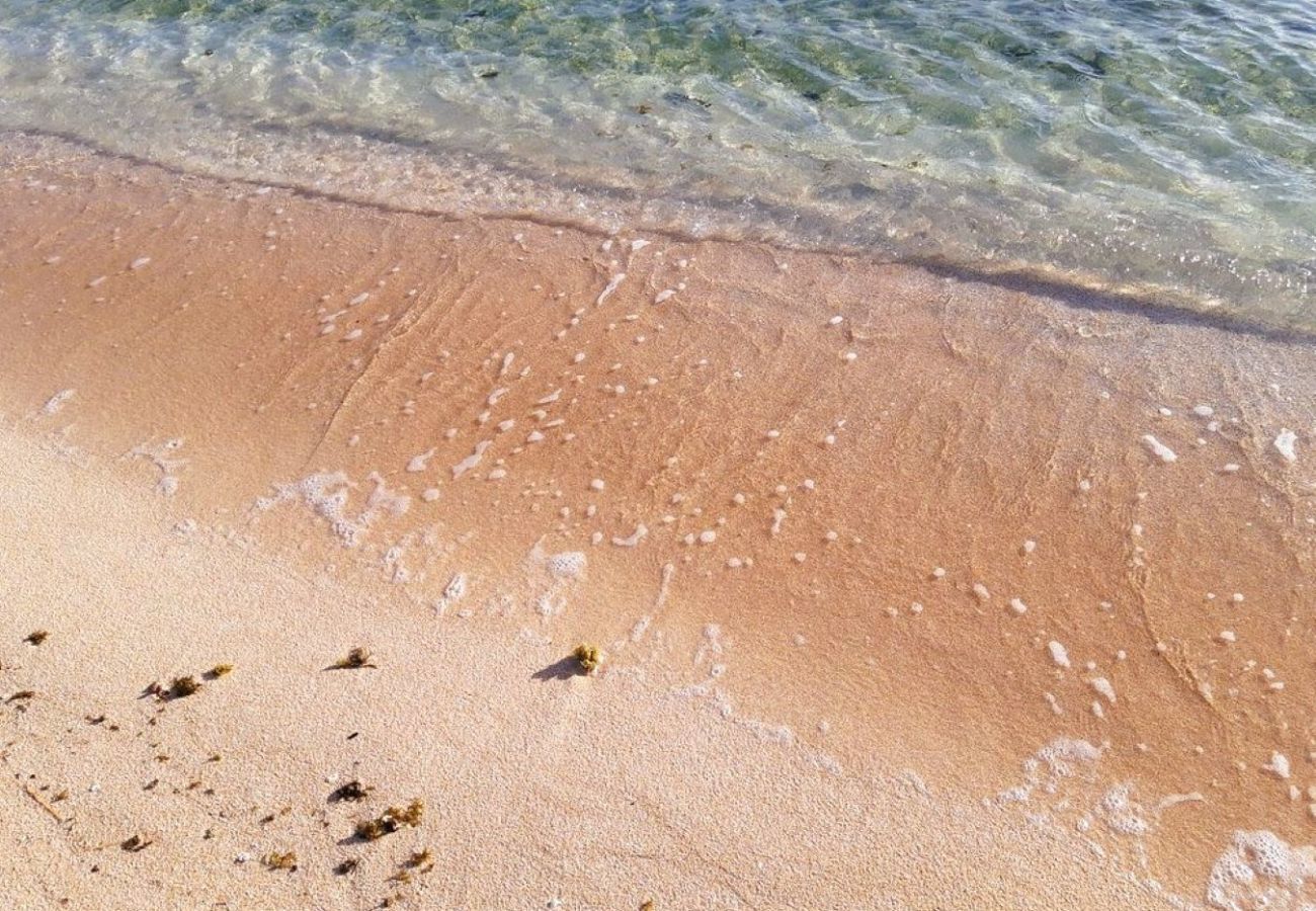 Rent by room in Tuherahera - TIKEHAU - Kaha Beach Piti