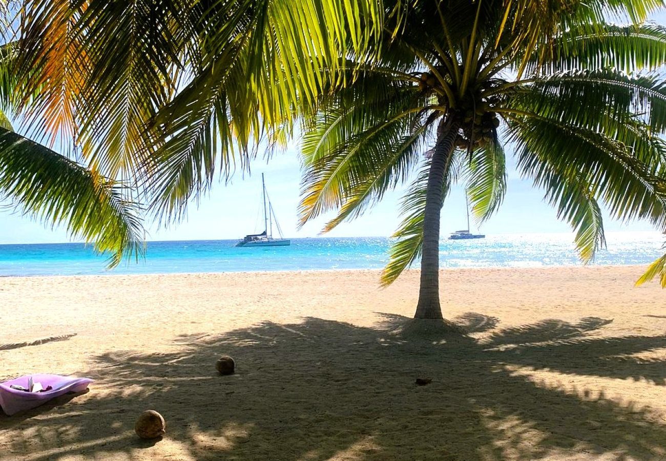 Rent by room in Tuherahera - TIKEHAU - Kaha Beach Piti