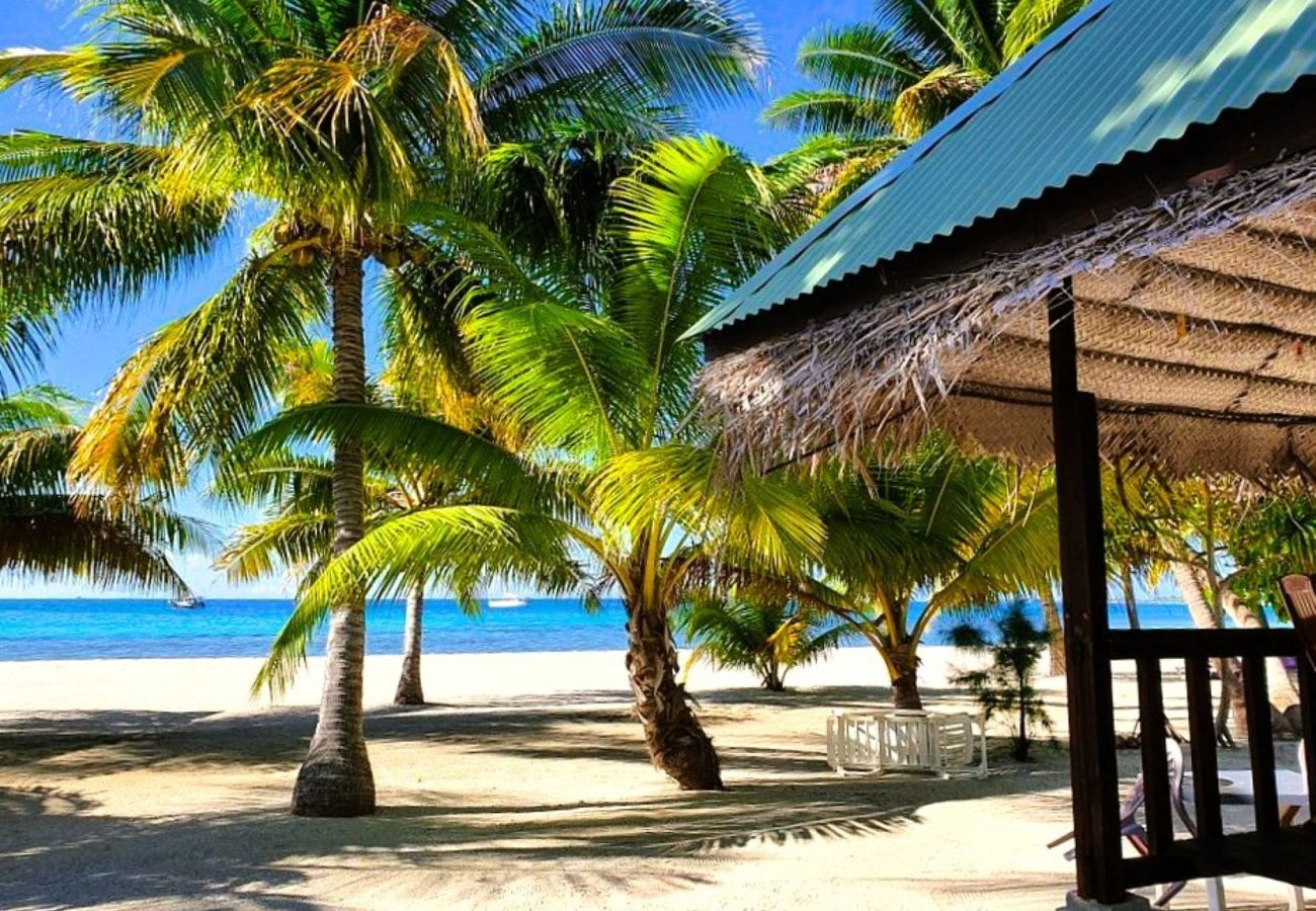 Rent by room in Tuherahera - TIKEHAU - Kaha Beach Piti
