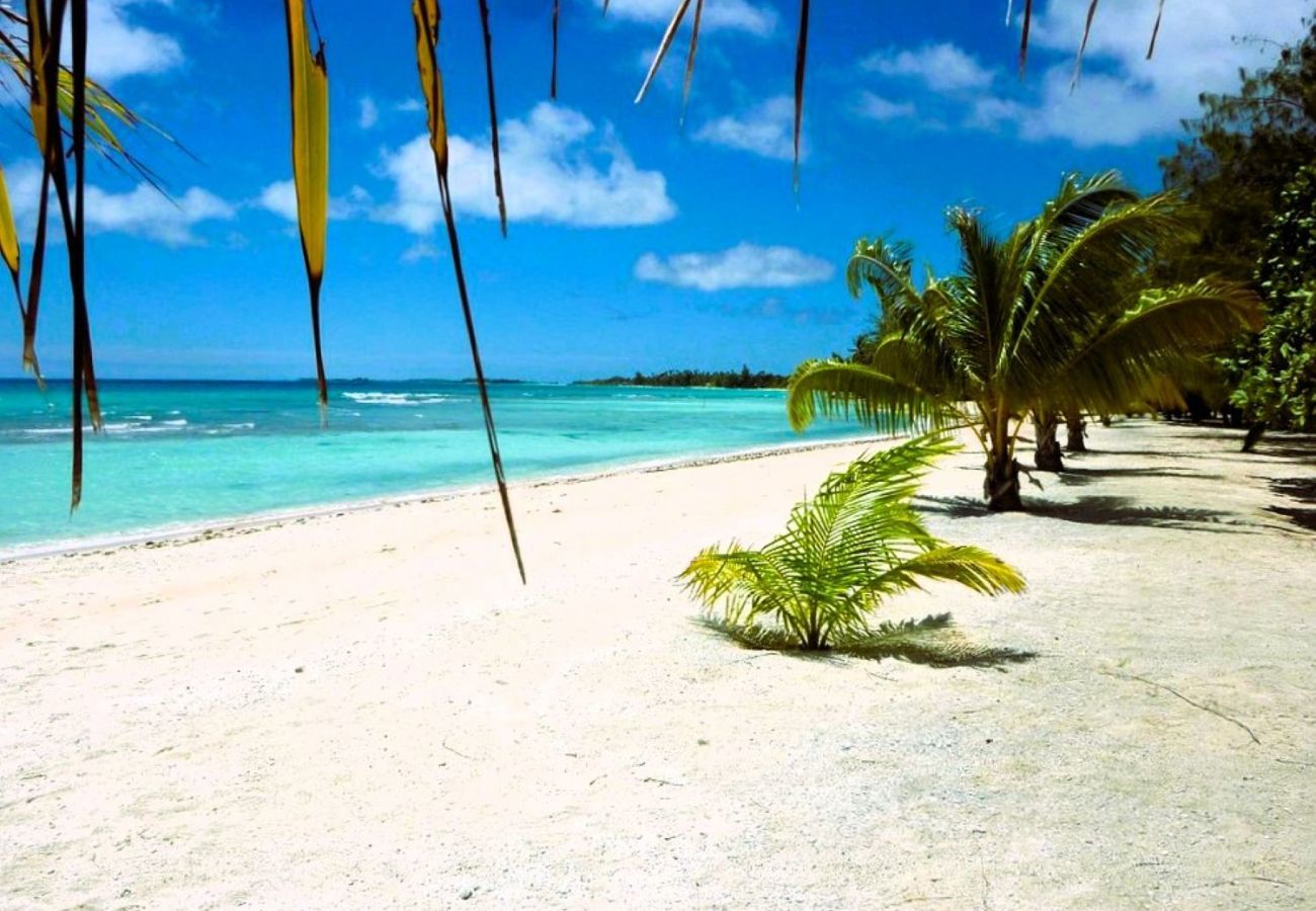 Rent by room in Tuherahera - TIKEHAU - Kaha Beach Piti
