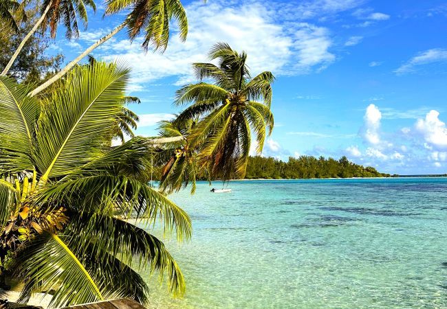 Villa en Tiahura - MOOREA - Sundara Soul Villa Villa en Tiahura - MOOREA - Sundara Soul Villa