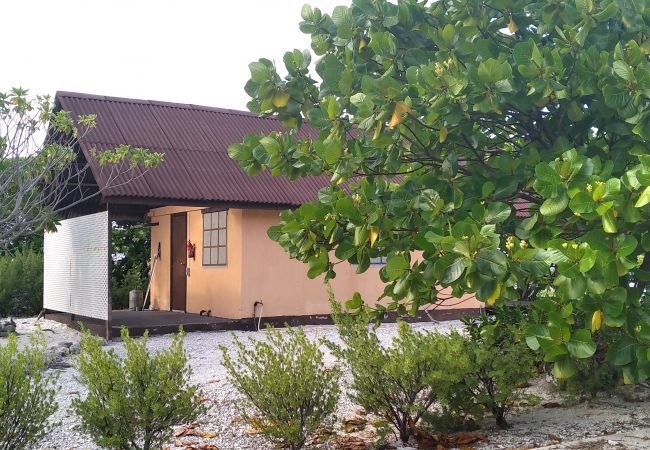 Bungalow en Fakarava  - FAKARAVA - Teariki Lodge 1