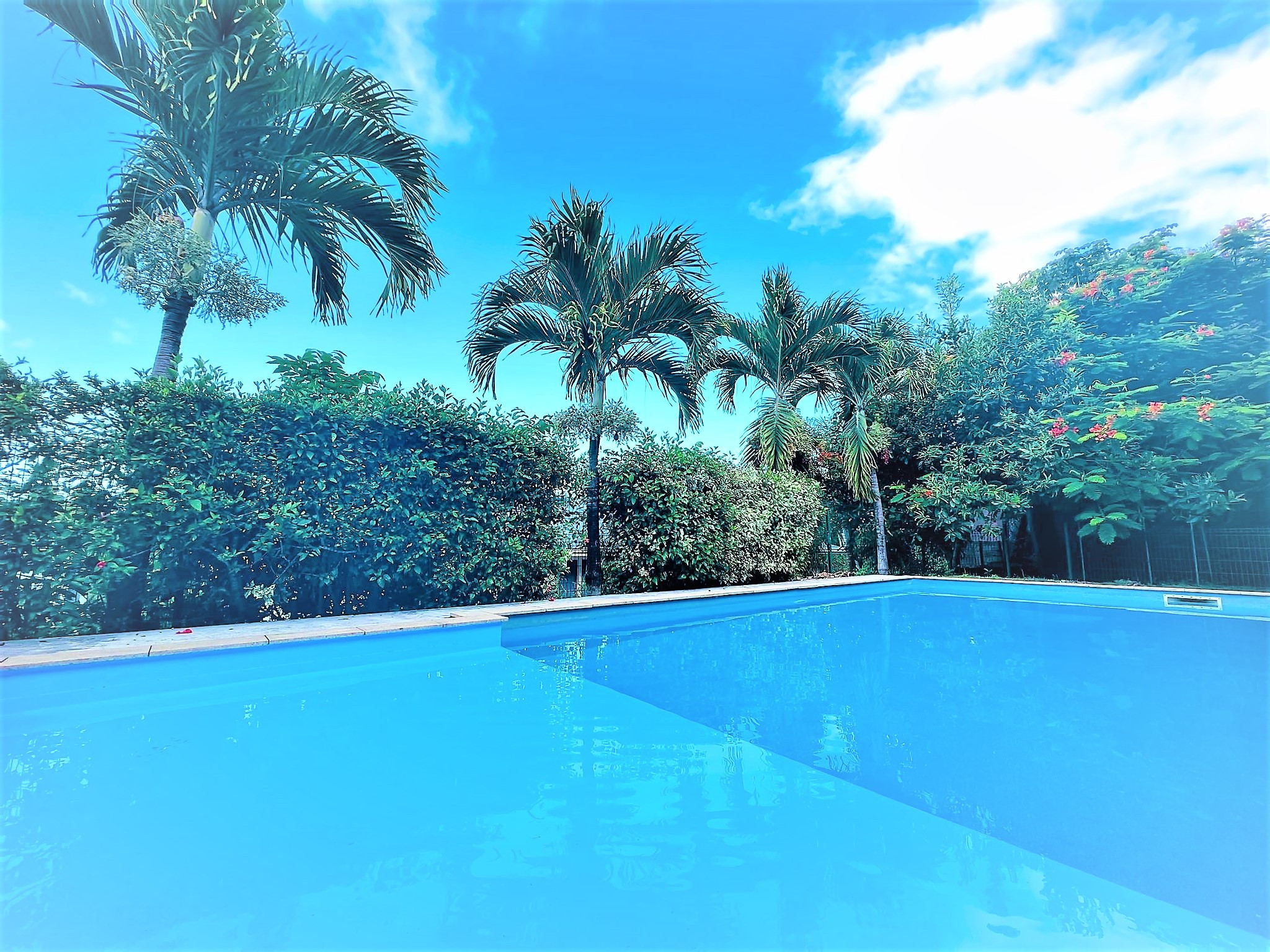 Piso en alquiler en Tahití para sus vacaciones con vistas al mar y a Moorea y acceso gratuito a una magnífica piscina