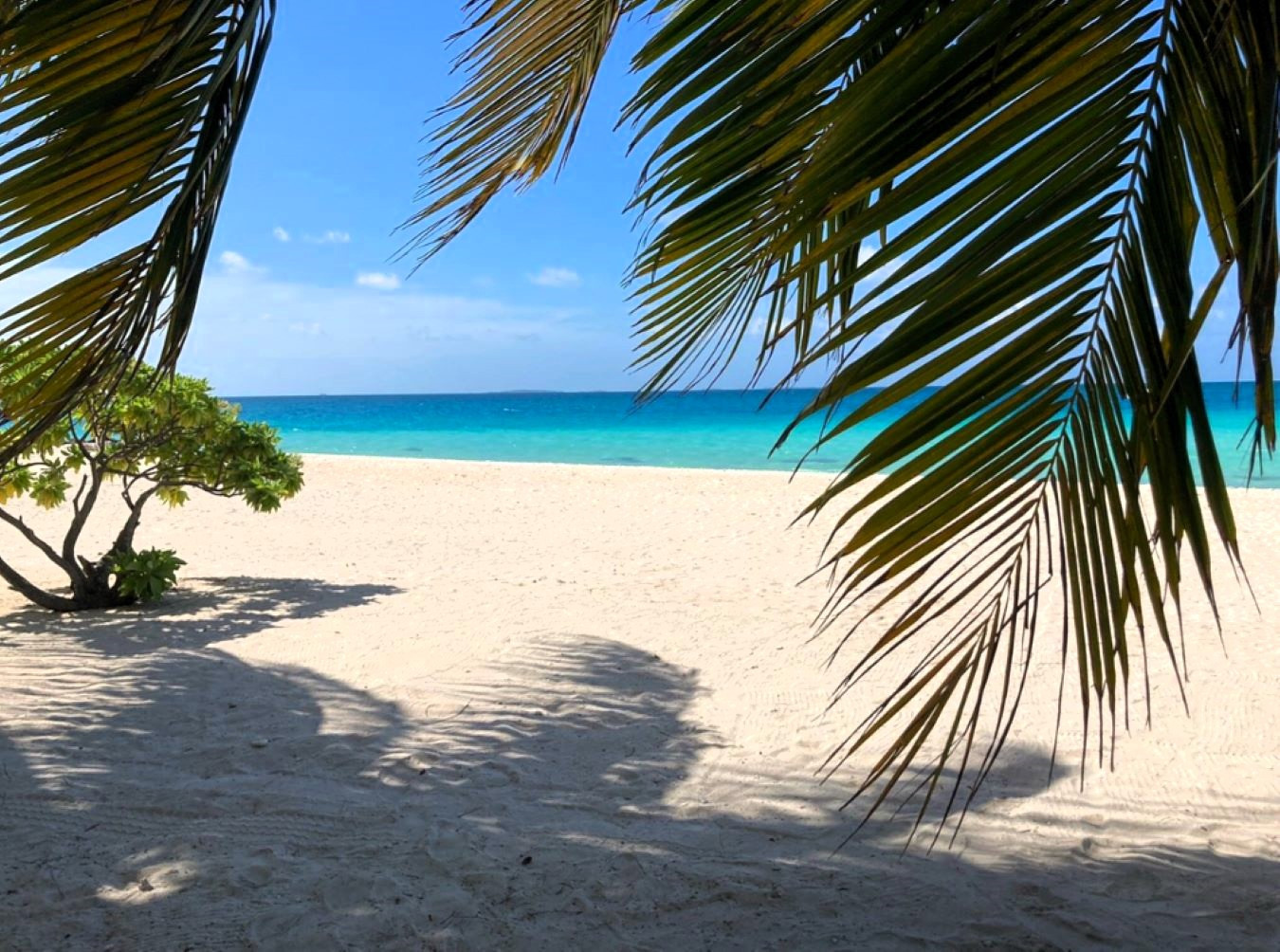 Bungalow en Tuherahera - TIKEHAU - Pink Dream Family 2