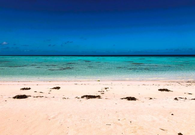 Bungalow en Makemo - MAKEMO - The Lost Paradise Beach Toru
