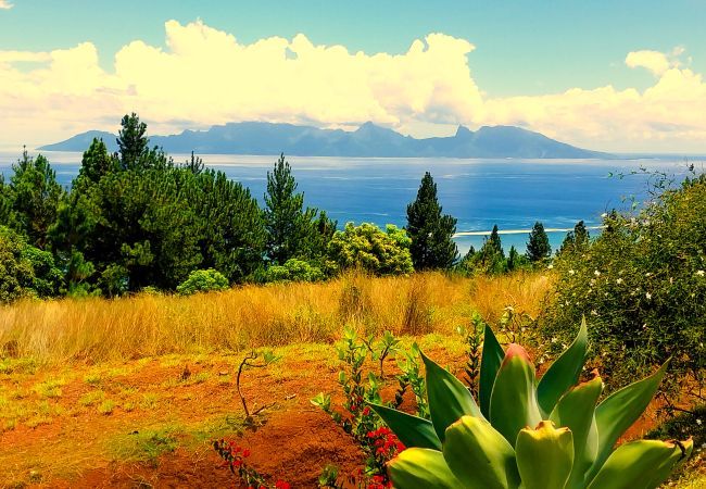 Villa en Punaauia - TAHITI - Villa Fa'ati Luxury - 16 pers Villa en Punaauia - TAHITI - Villa Fa'ati Luxury - 16 pers