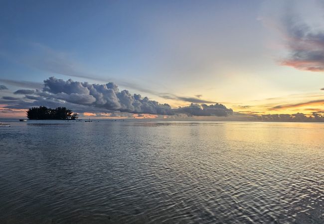 Estudio en Hauru - MOOREA - Tropical Nest Estudio en Hauru - MOOREA - Tropical Nest
