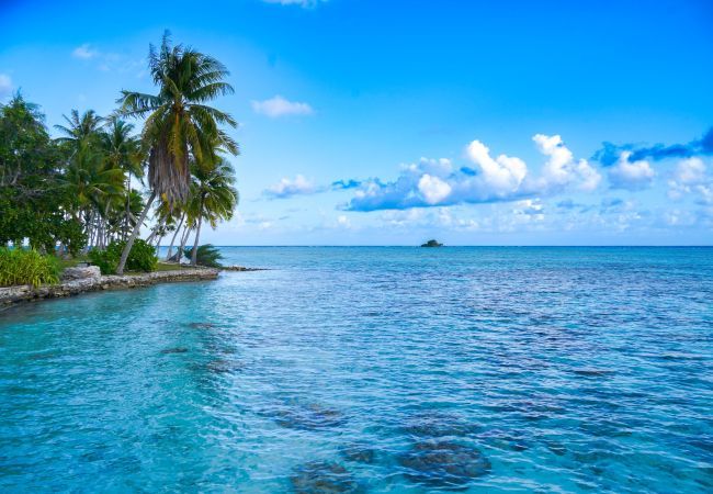 Villa en Avatoru - RANGIROA - Villa Prestige Fara Iti Villa en Avatoru - RANGIROA - Villa Prestige Fara Iti