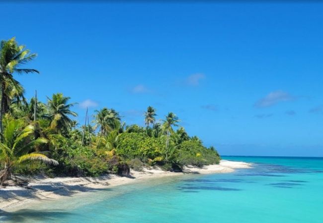 Bungalow en Avatoru - RANGIROA - Hope Bungalow Bungalow en Avatoru - RANGIROA - Hope Bungalow