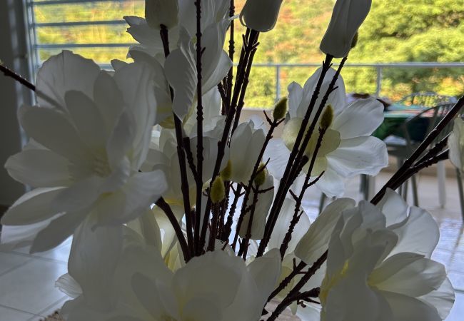 Apartamento en Faa´a - TAHITI - Pamatai Eden Appartment Apartamento en Faa´a - TAHITI - Pamatai Eden Appartment