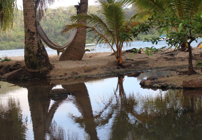 Bungalow en Opoa - RAIATEA - Hotopuu Apetahi Room Bungalow en Opoa - RAIATEA - Hotopuu Apetahi Room