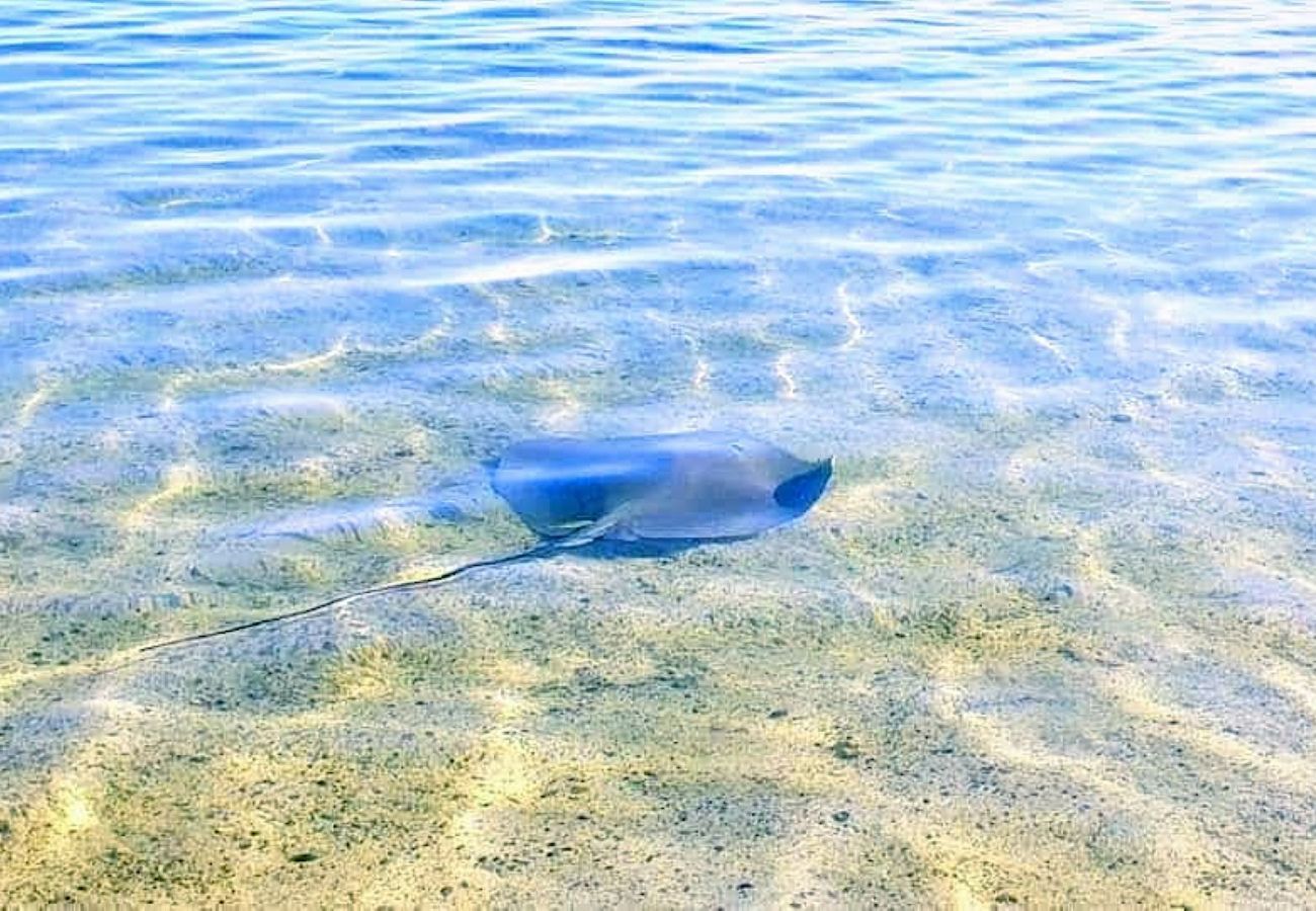 Bungalow en Haapiti - MOOREA - Fare Taina Iti