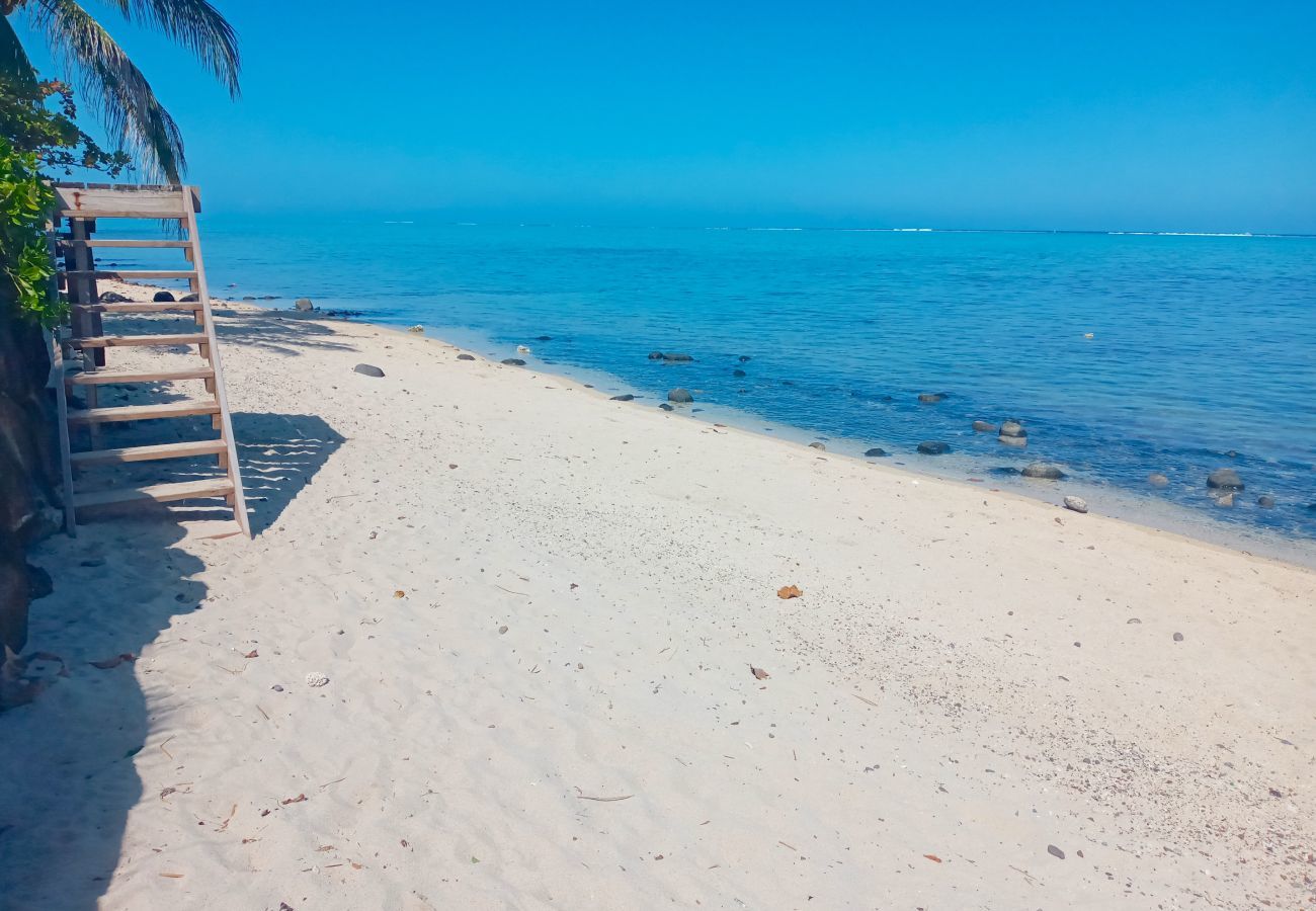 Playa de arena blanca y laguna turquesa en una zona marina protegida, accesibles desde el muelle privado