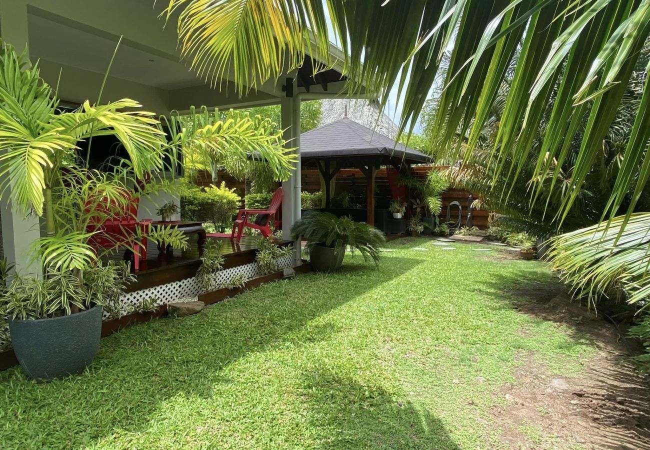 View of the garden 