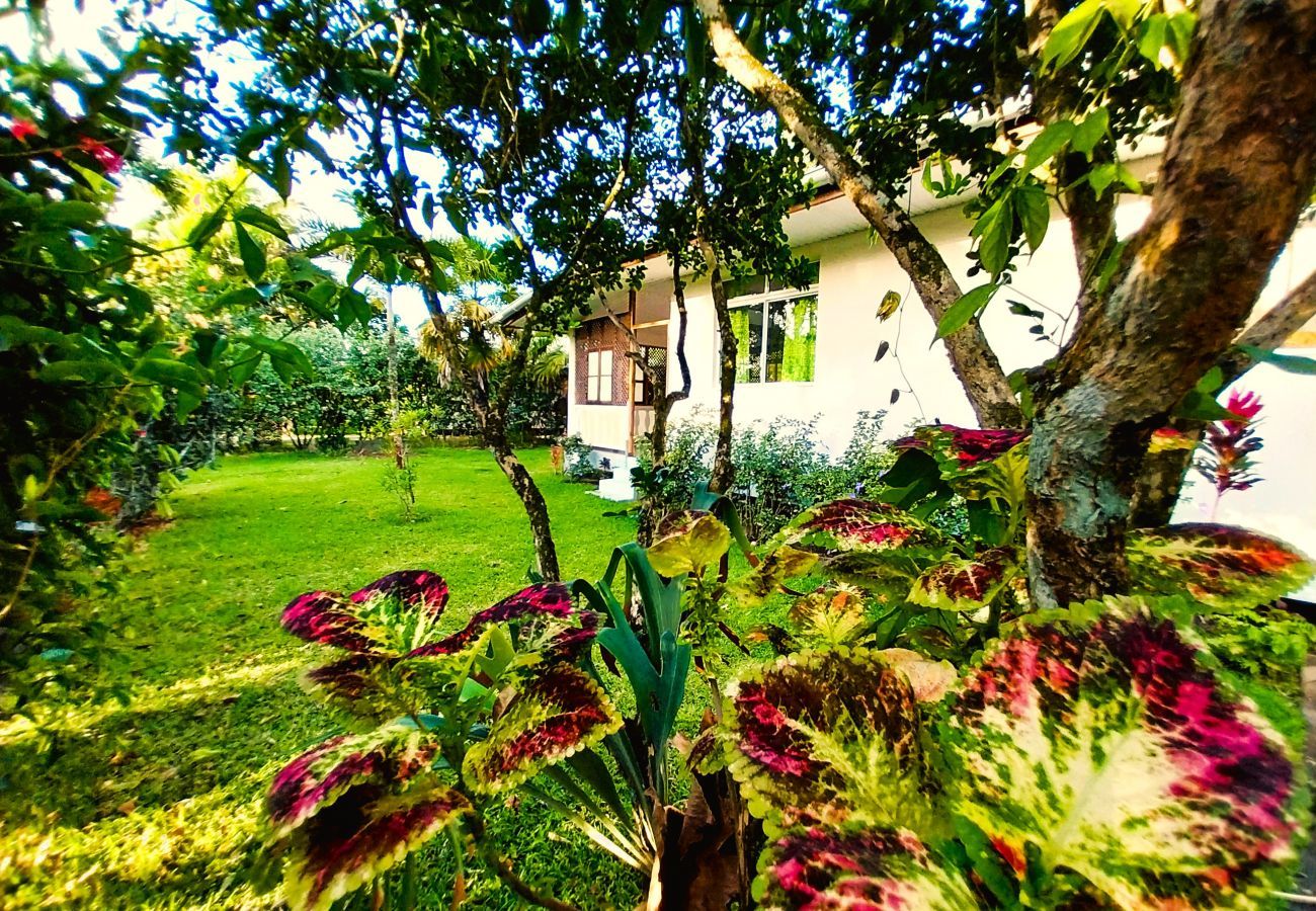Casa en Mahina - TAHITI - Haumaru Beach Fare
