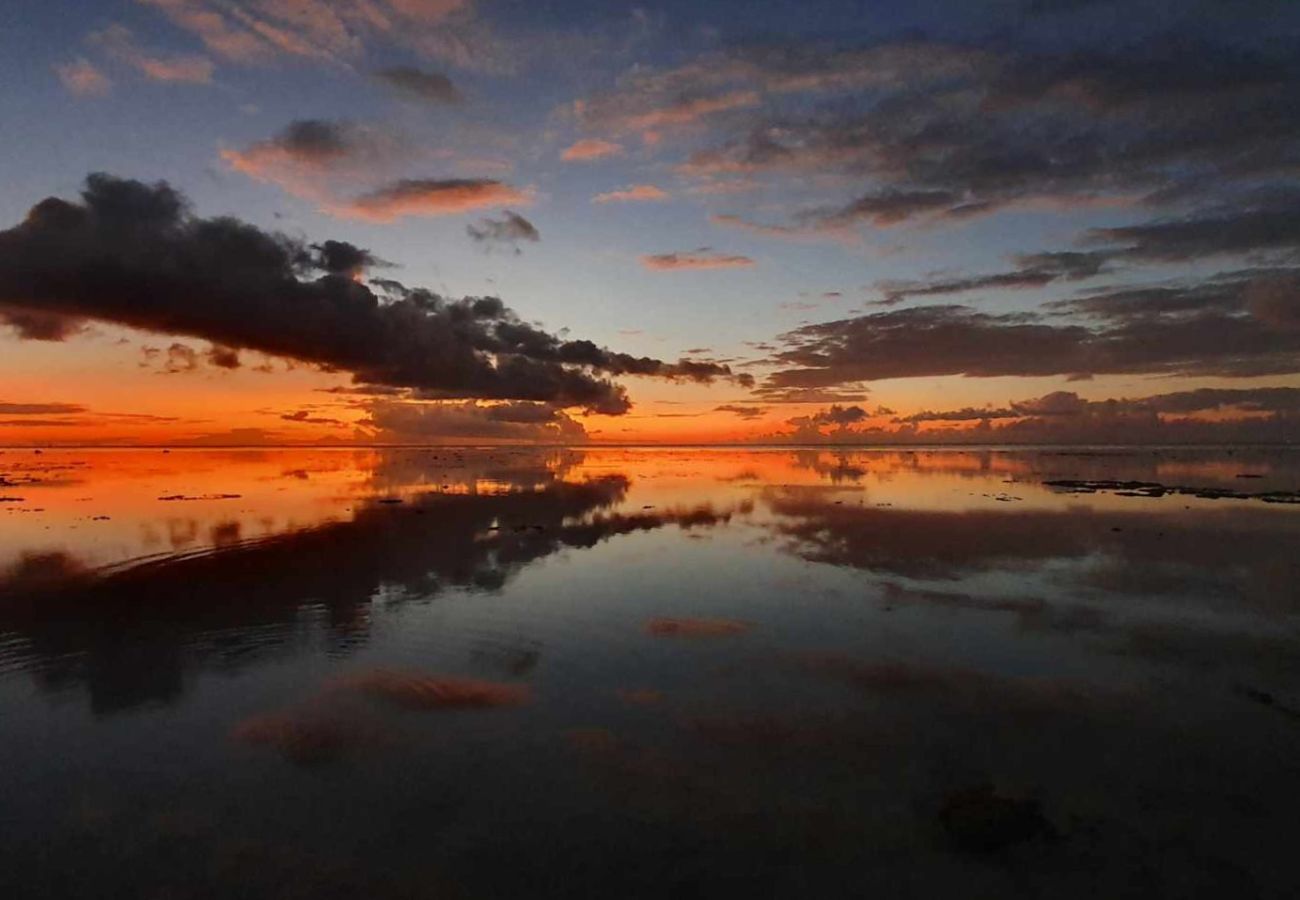 Estudio en Hauru - MOOREA - Tropical Nest