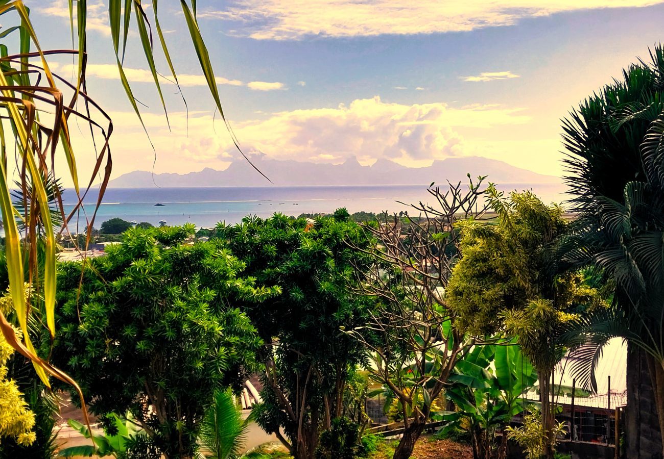 Estudio en Faa´a - TAHITI - Ninamu Pool Studio