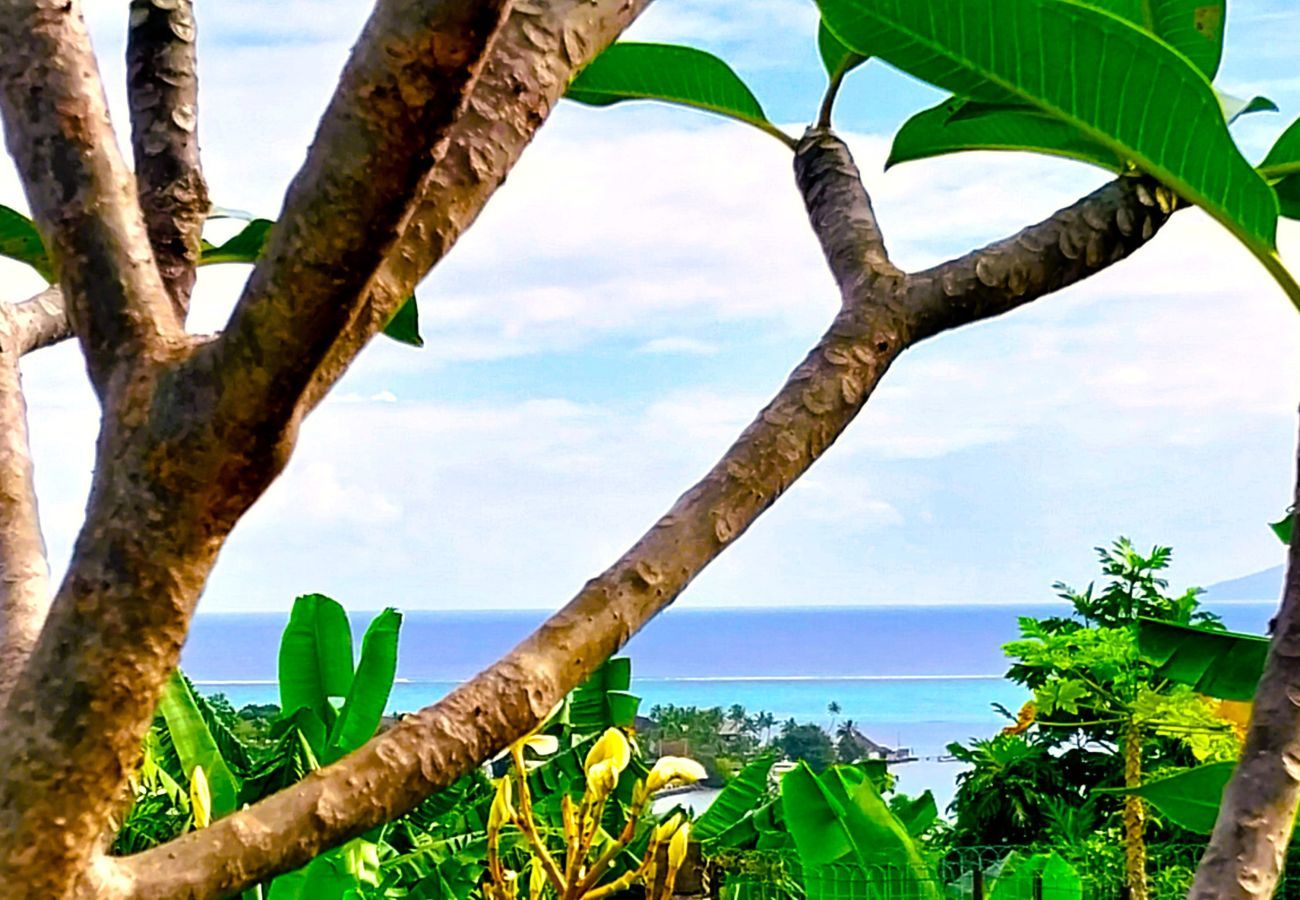 Estudio en Faa´a - TAHITI - Ninamu Pool Studio