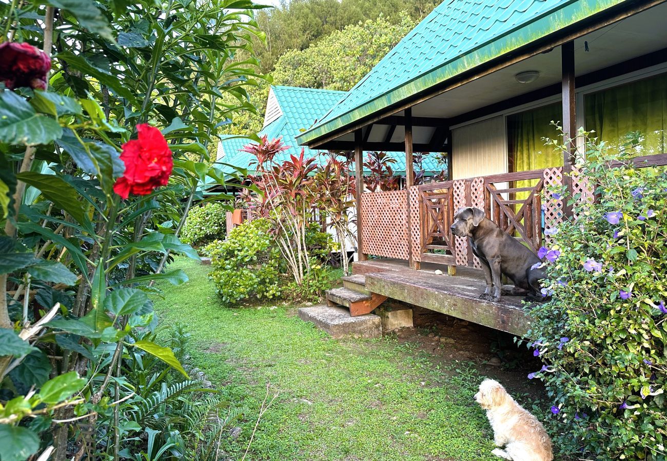 Bungalow en Vaiuru - RAIVAVAE - Bungalow Vaiuru