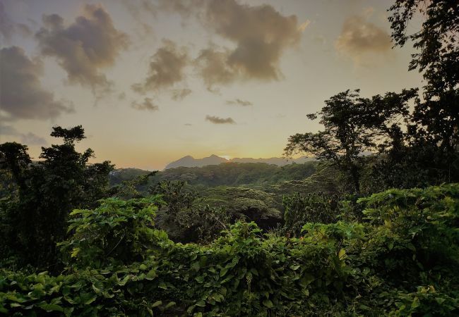 Casa a Huahine-Nui - HUAHINE - Hibiscus House Casa a Huahine-Nui - HUAHINE - Hibiscus House